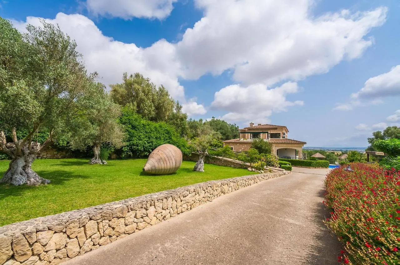 Ideal Property Mallorca - Sa Pleta Petra  Country house Petra (Mallorca)